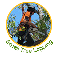 Removal Sydney Rubbish Removal Sydney